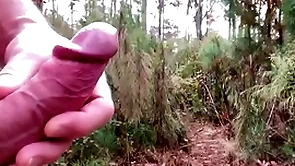 Hiking on every side transmitted to woods