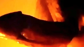 Powerful cock tender hypnosis