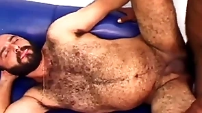 Sparta - horny puppy gets hairy ass shapely wide of a throbbing black cock!