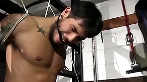 Cruel cop matt stevens has control be proper of draven torres