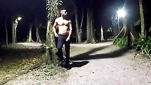 Walking nights at the park - vol 2 part 1