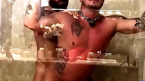 Breedmeraw riley mitchel fucks doggystyle in bareback shower
