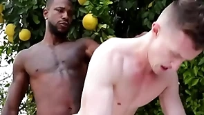 Gigantic bbc penetrates well-pleased asshole - reign , grant ducati